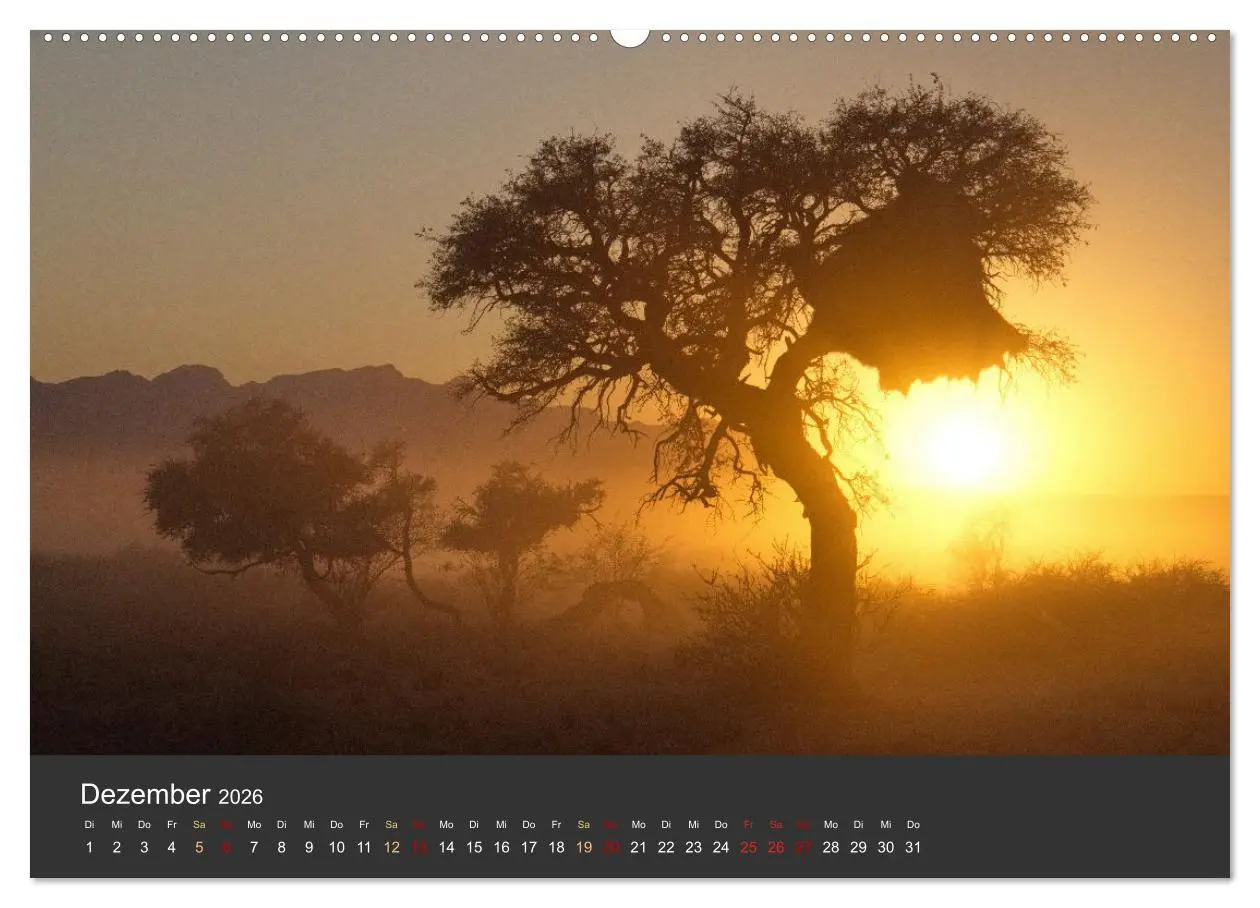 Bild: 9783457573013 | Wüstenbäume (Wandkalender 2026 DIN A2 quer), CALVENDO Monatskalender