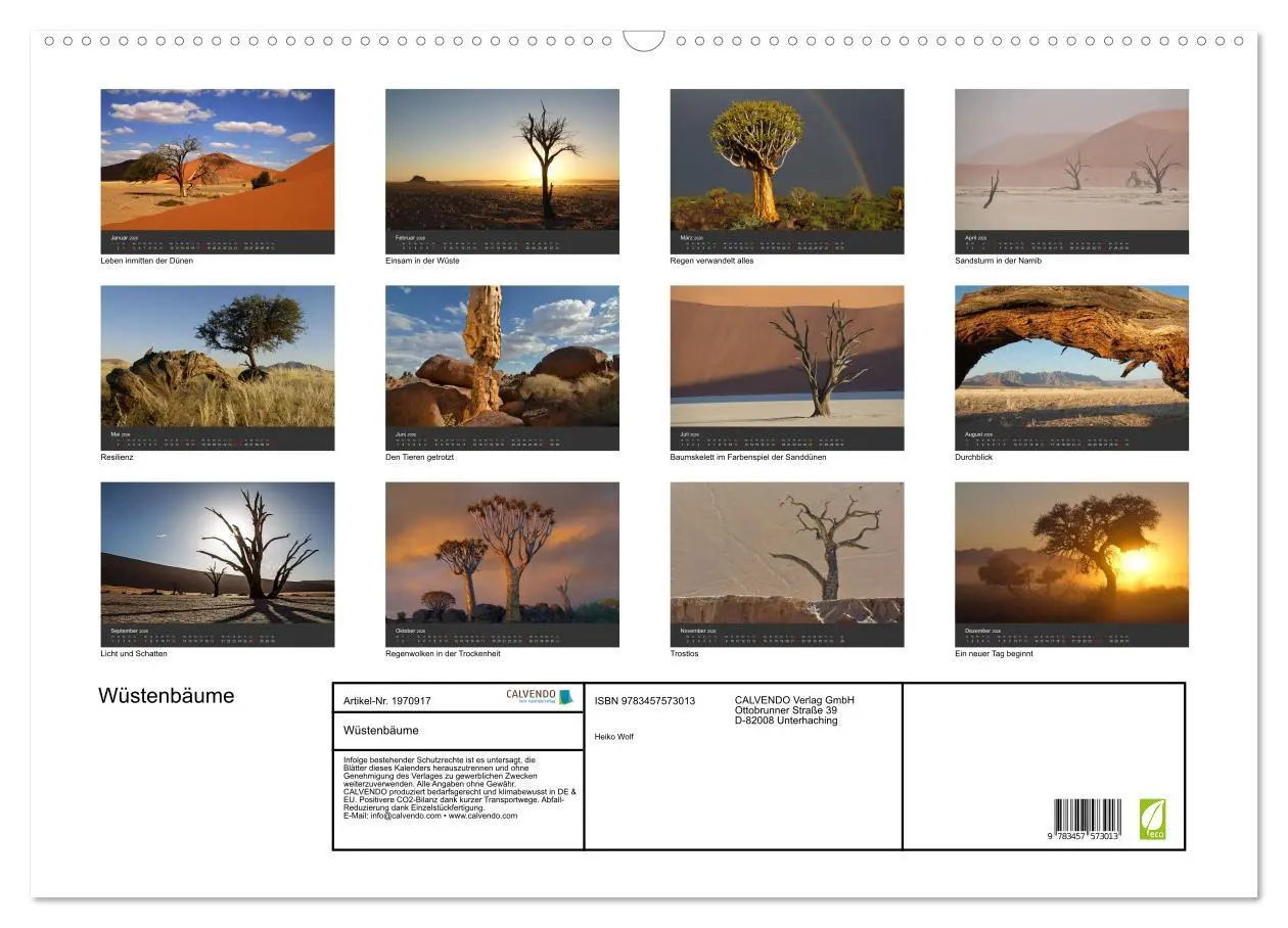 Bild: 9783457573013 | Wüstenbäume (Wandkalender 2026 DIN A2 quer), CALVENDO Monatskalender