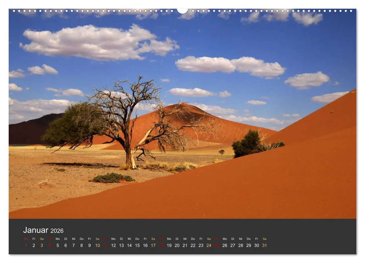 Bild: 9783457573013 | Wüstenbäume (Wandkalender 2026 DIN A2 quer), CALVENDO Monatskalender