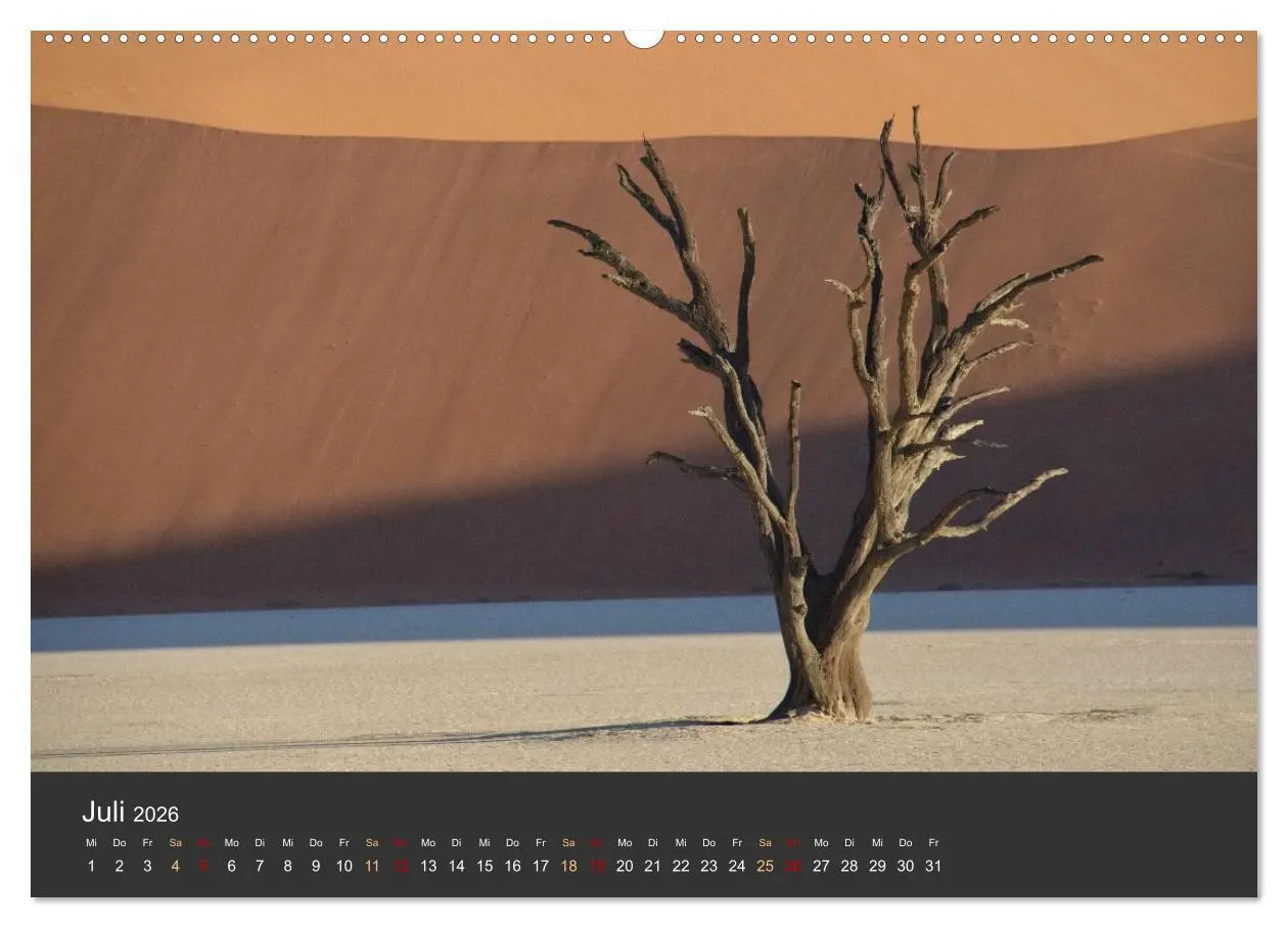 Bild: 9783457573013 | Wüstenbäume (Wandkalender 2026 DIN A2 quer), CALVENDO Monatskalender