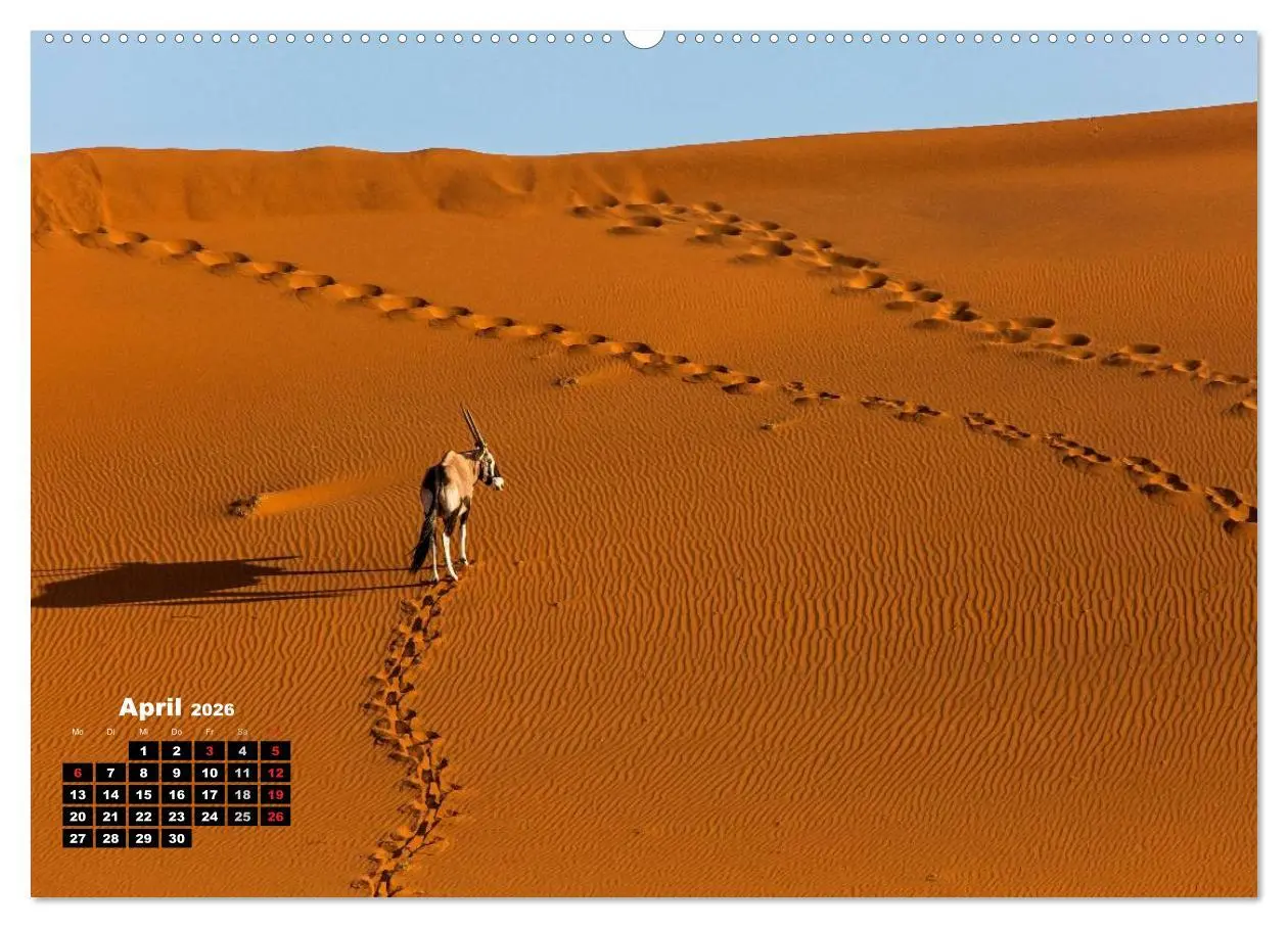 Bild: 9783516043013 | Blickpunkte in Namibia (Wandkalender 2026 DIN A2 quer), CALVENDO...