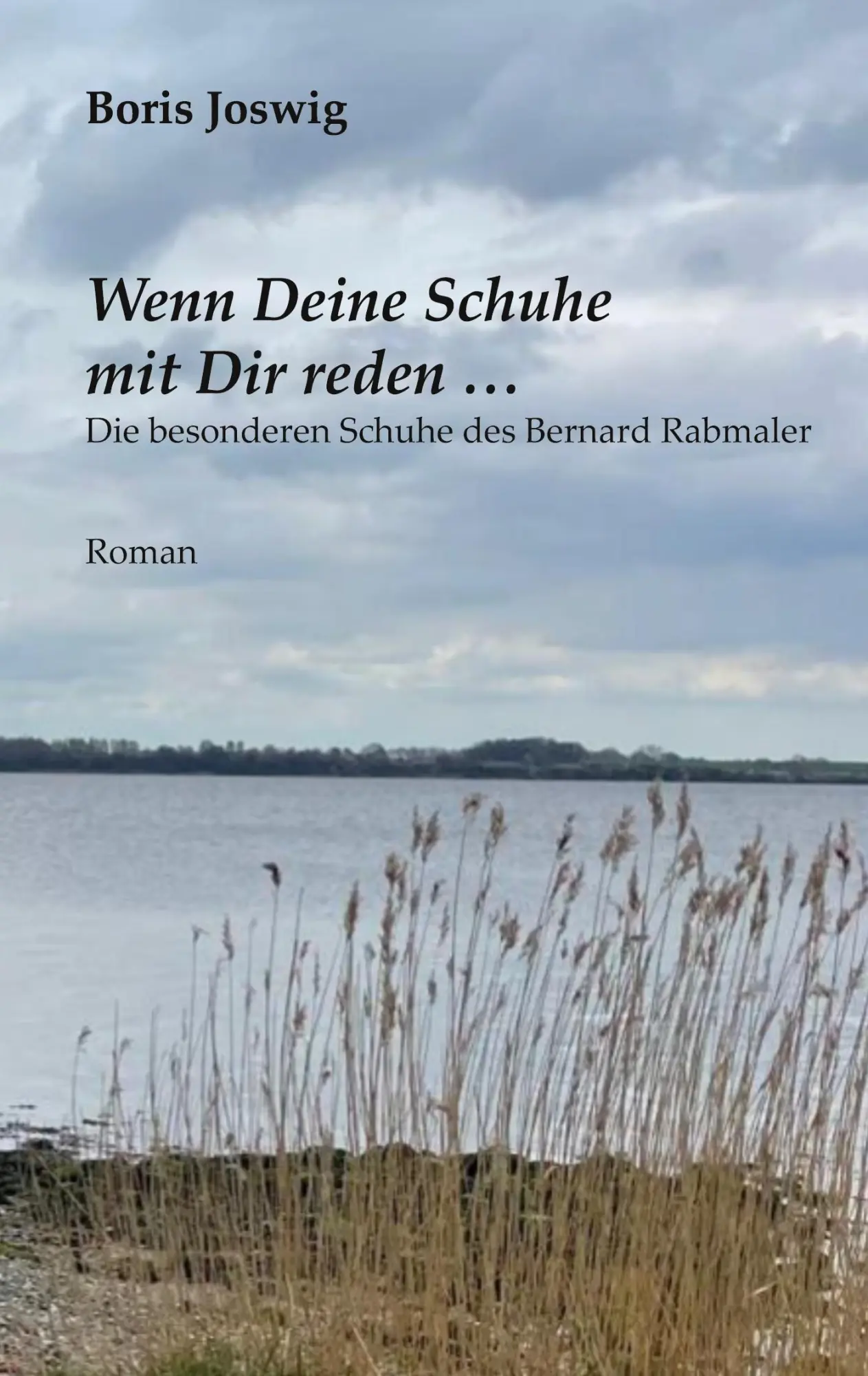 Cover: 9783695173013 | Wenn Deine Schuhe mit Dir reden ... | Boris Joswig | Taschenbuch
