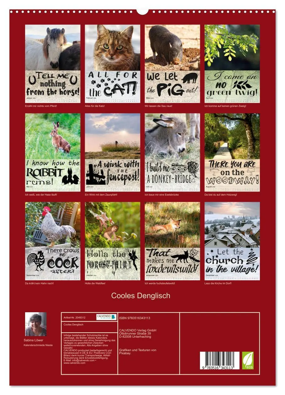 Bild: 9783516343113 | Cooles Denglisch (hochwertiger Premium Wandkalender 2026 DIN A2...