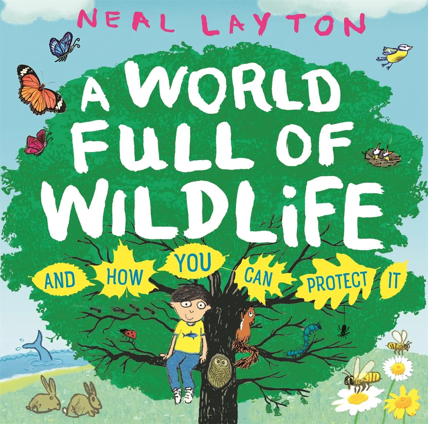 Cover: 9781526363213 | Eco Explorers: A World Full of Wildlife | and how you can protect it