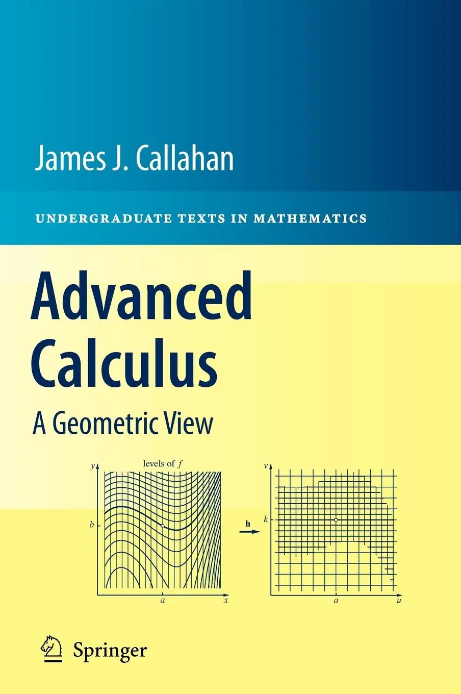 Cover: 9781441973313 | Advanced Calculus | A Geometric View | James J. Callahan | Buch | xvi
