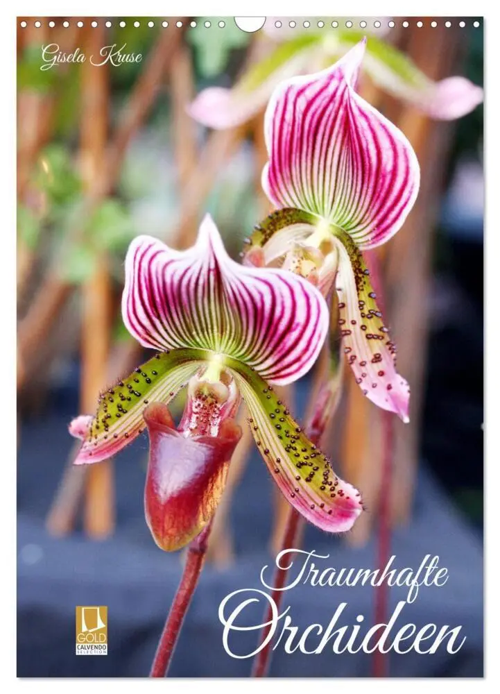 Cover: 9783435903313 | Traumhafte Orchideen (Wandkalender 2025 DIN A3 hoch), CALVENDO...
