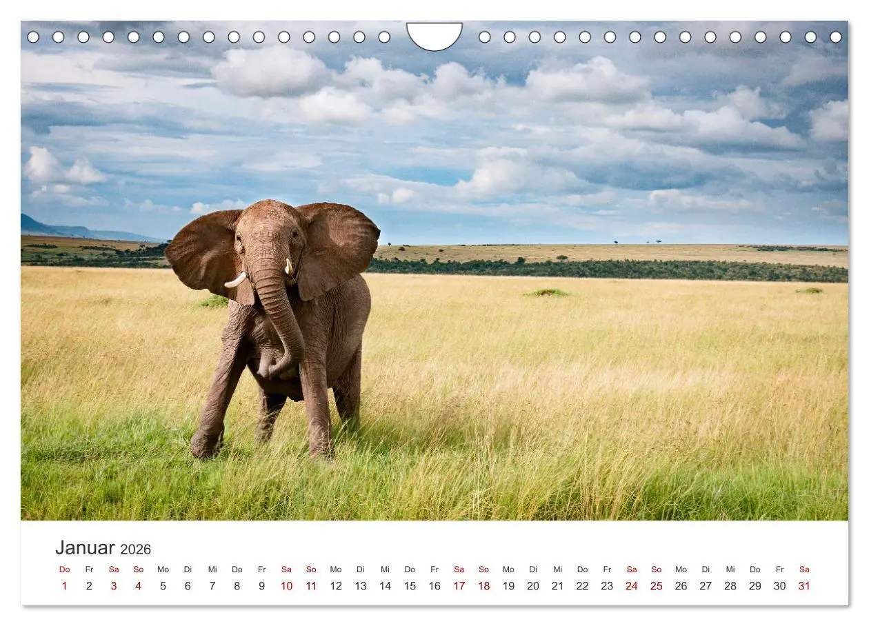 Bild: 9783457613313 | Kenia - Das wundervolle Land in Afrika. (Wandkalender 2026 DIN A4...