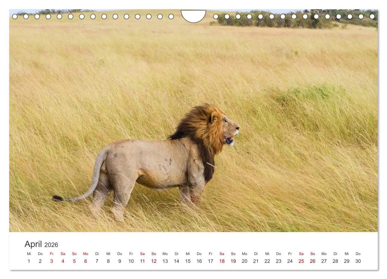 Bild: 9783457613313 | Kenia - Das wundervolle Land in Afrika. (Wandkalender 2026 DIN A4...