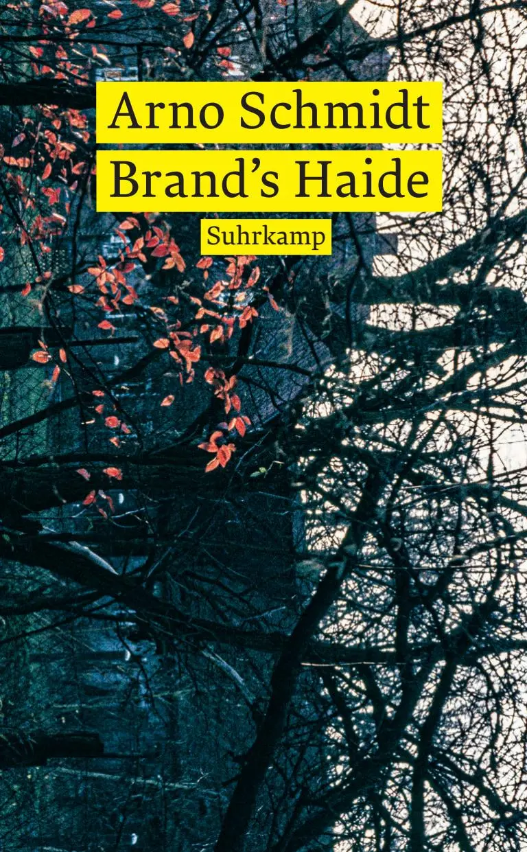 Cover: 9783518473313 | Brand's Haide | Roman | Arno Schmidt | Taschenbuch | 114 S. | Deutsch