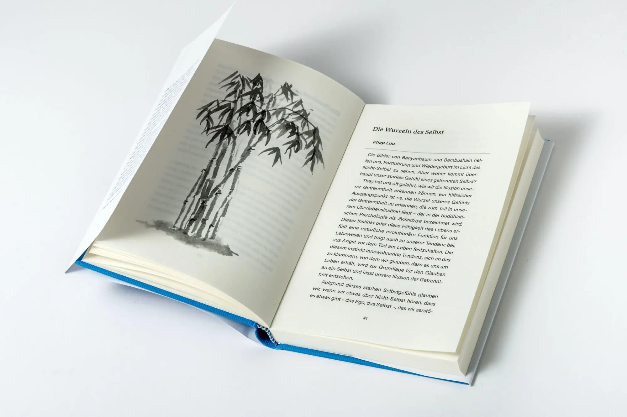Bild: 9783778783313 | Reinkarnation | Nhat Thich | Buch | 160 S. | Deutsch | 2026 | Lotos