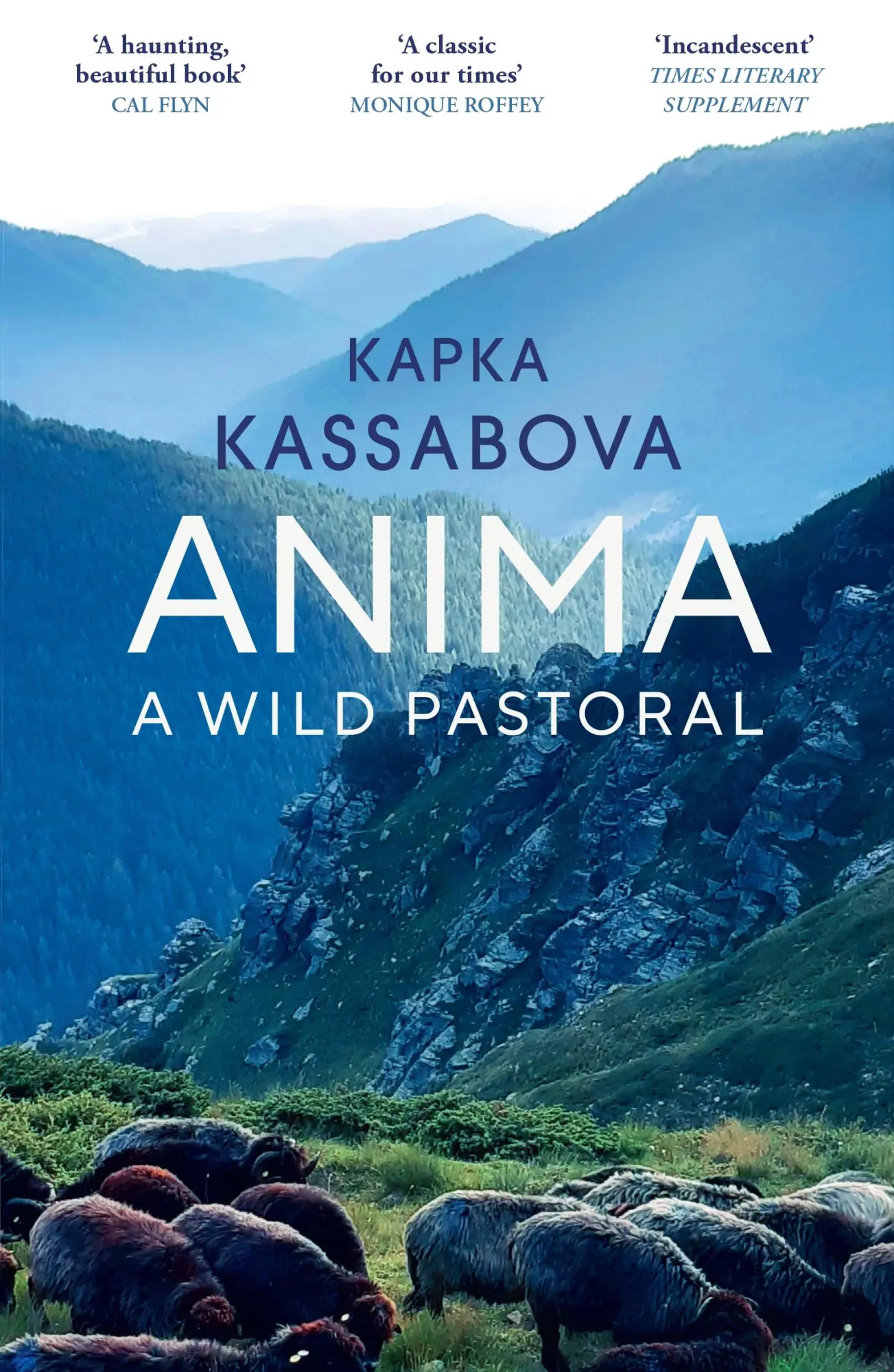 Cover: 9781529933413 | Anima | A Wild Pastoral | Kapka Kassabova | Taschenbuch | 384 S.