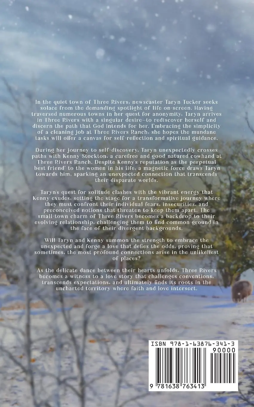 Rückseite: 9781638763413 | The Twelfth Town | Christian Christmas Romance | Liz Isaacson | Buch