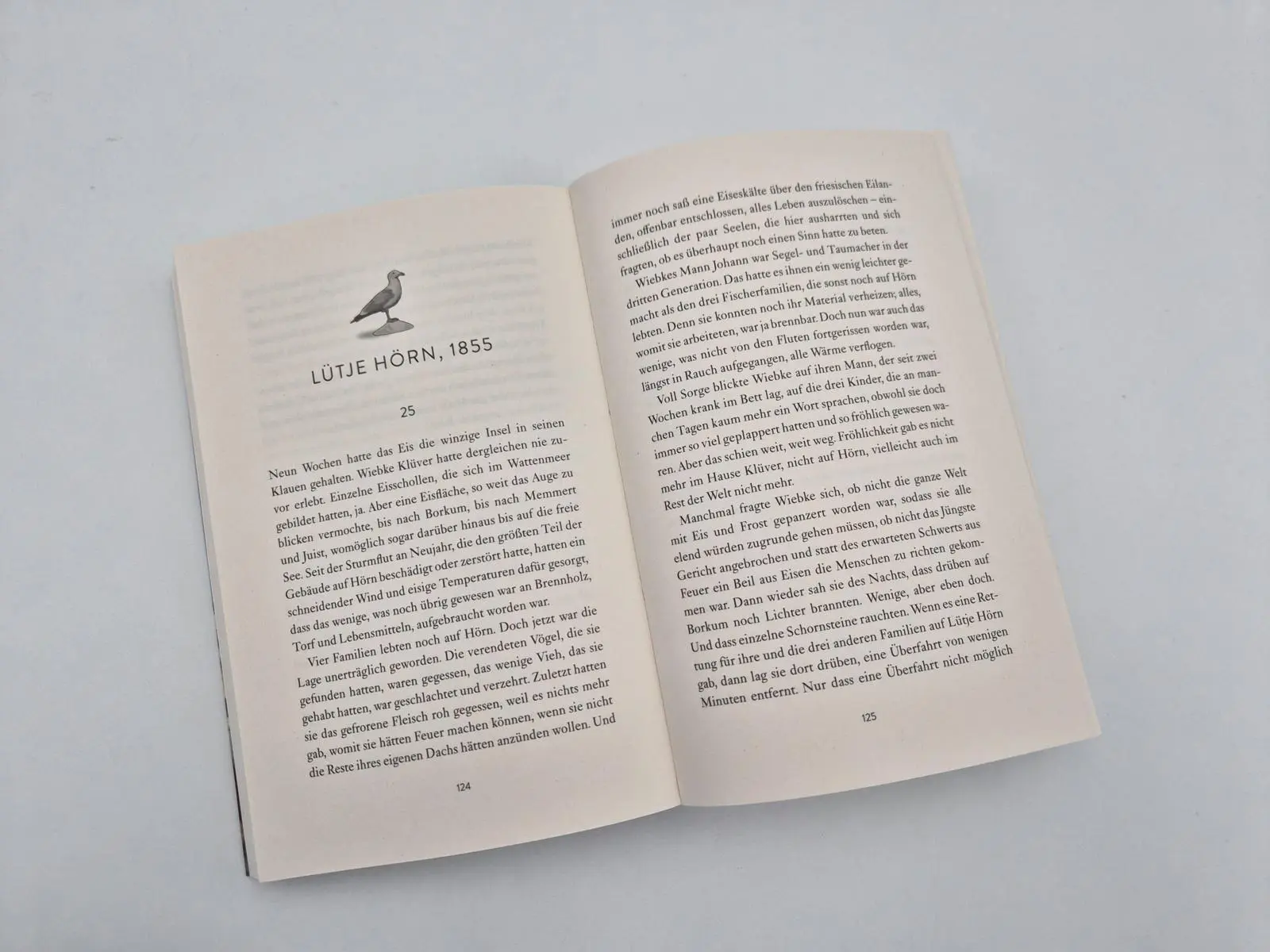 Bild: 9783492323413 | Ruf der Wellen | Anna Jessen | Taschenbuch | Die wandernden Inseln