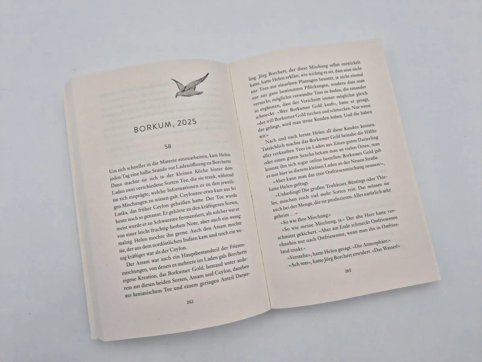 Bild: 9783492323413 | Ruf der Wellen | Anna Jessen | Taschenbuch | Die wandernden Inseln