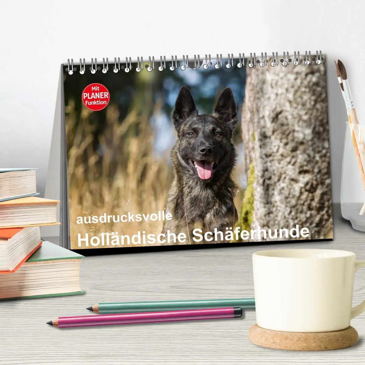 Bild: 9783516003413 | ausdrucksvolle Holländische Schäferhunde (Tischkalender 2026 DIN A5...