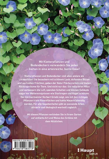 Rückseite: 9783258083513 | Kletterpflanzen und Bodendecker | Norbert Griebl | Taschenbuch | 2024