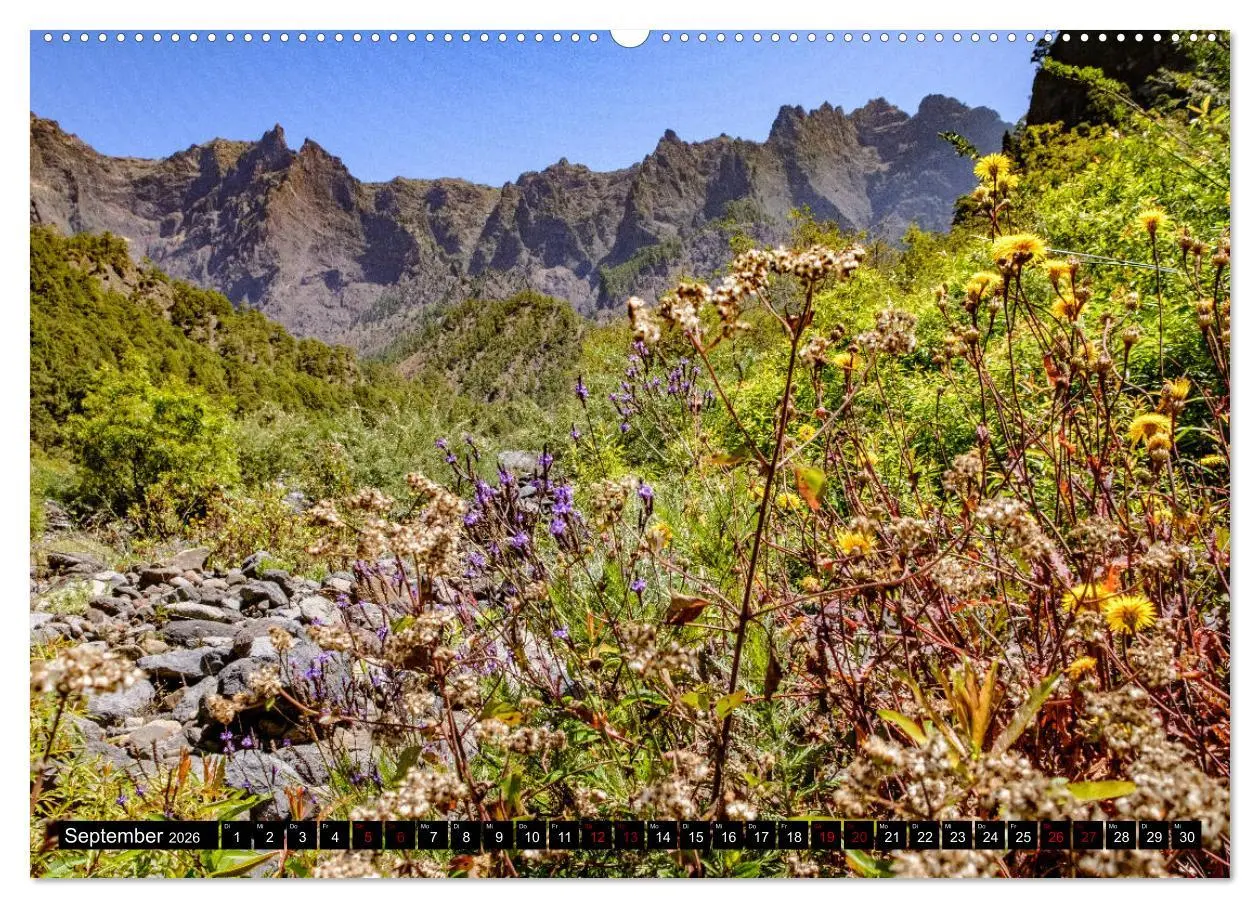 Bild: 9783457833513 | Natur pur erleben auf La Palma (Wandkalender 2026 DIN A2 quer),...