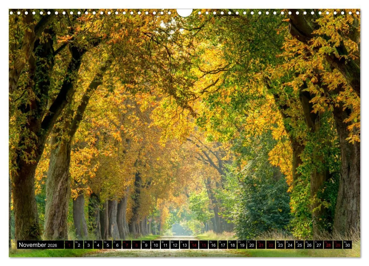 Bild: 9783457903513 | Vorpommern - von Altefähr bis Zinnowitz (Wandkalender 2026 DIN A3...
