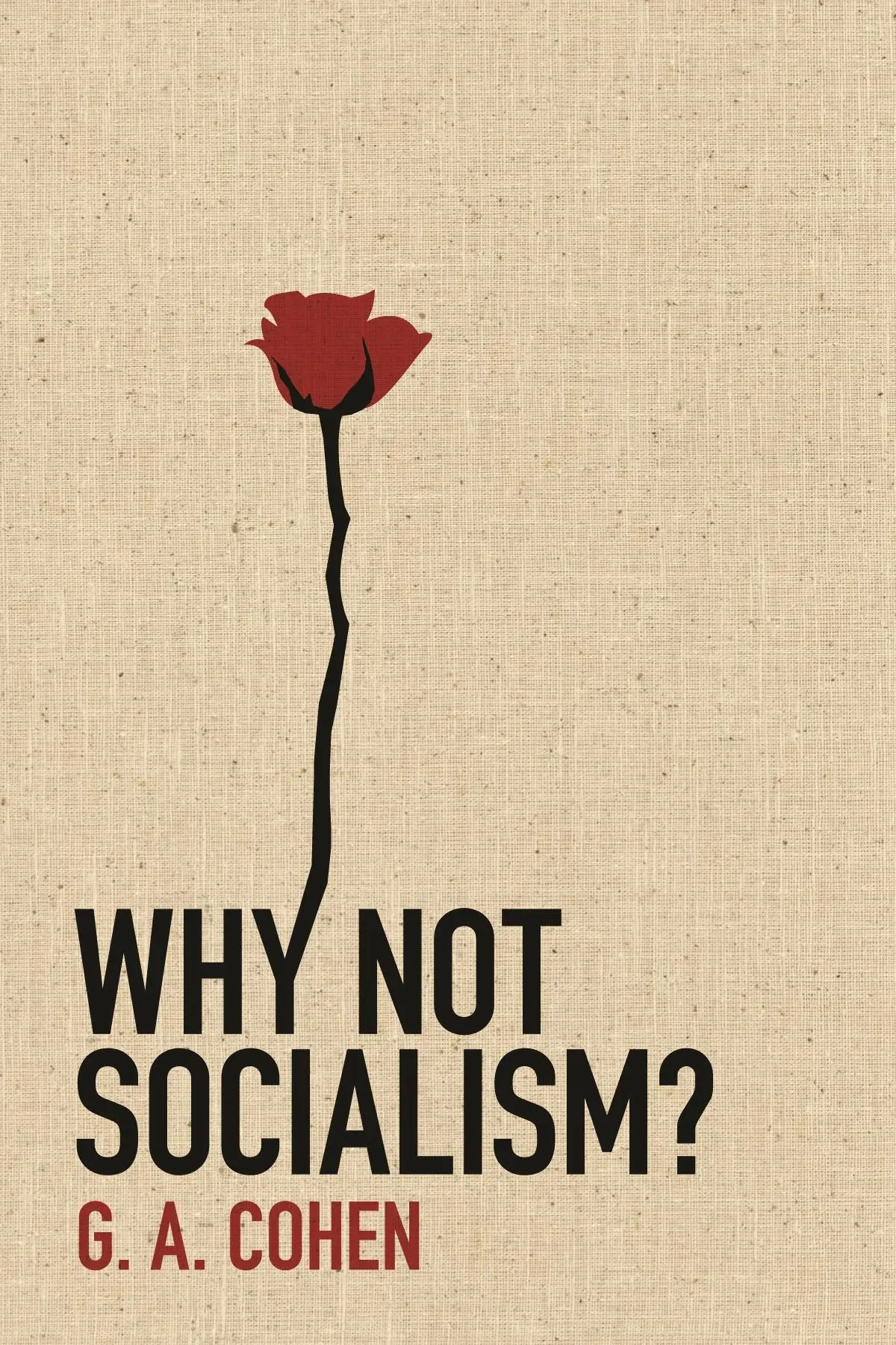 Cover: 9780691143613 | Why Not Socialism? | Gerald a Cohen | Buch | Gebunden | Englisch