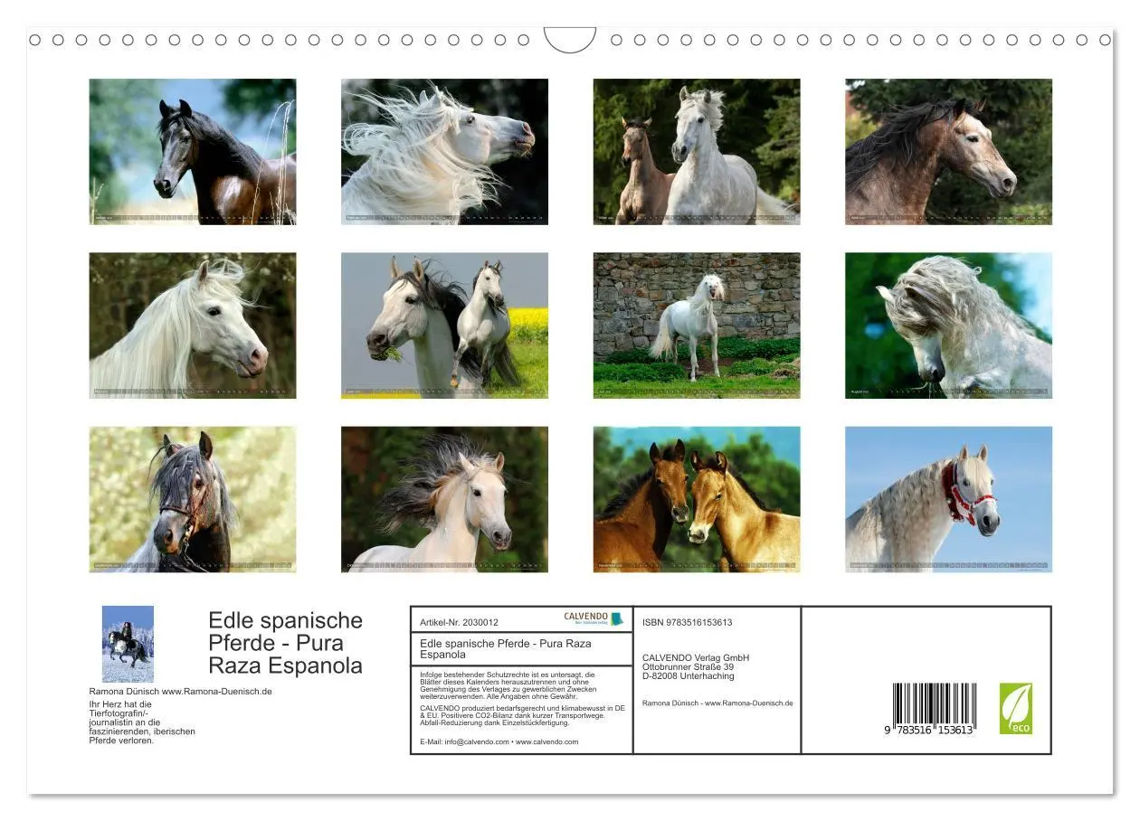 Bild: 9783516153613 | Edle spanische Pferde - Pura Raza Espanola (Wandkalender 2026 DIN...