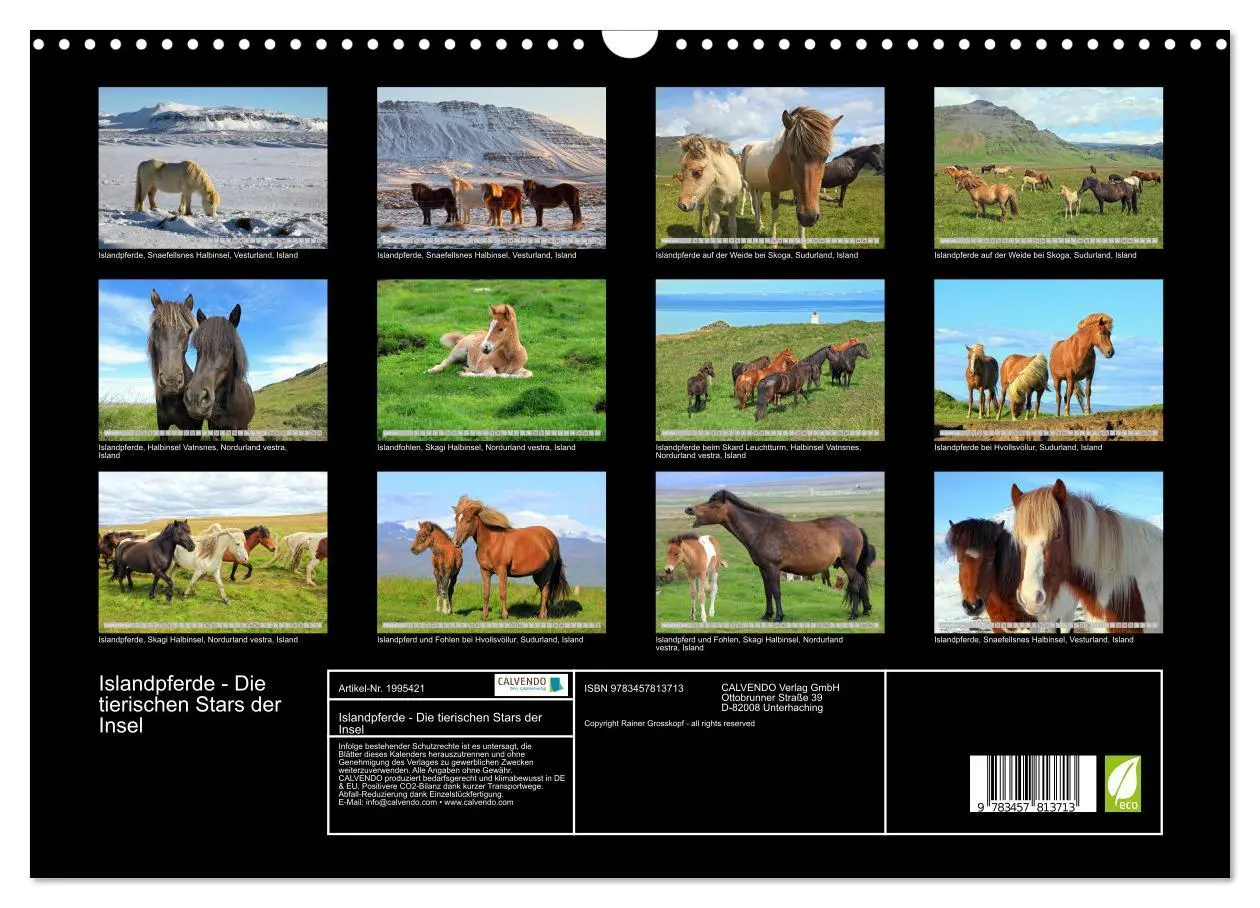 Bild: 9783457813713 | Islandpferde - Die tierischen Stars der Insel (Wandkalender 2026...