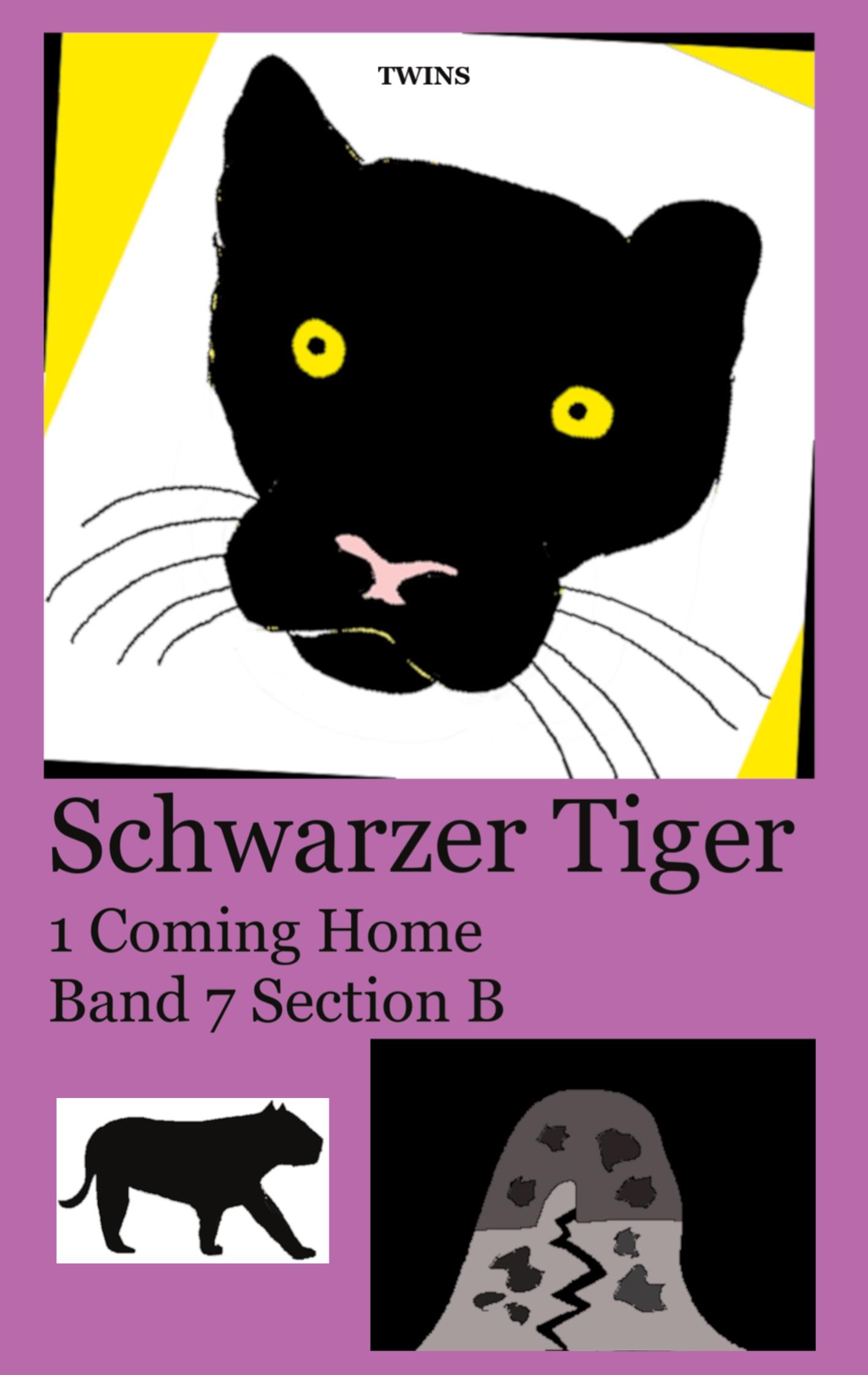 Cover: 9783755733713 | Schwarzer Tiger 1 Coming Home | Band 7 Section B | Twins | Taschenbuch