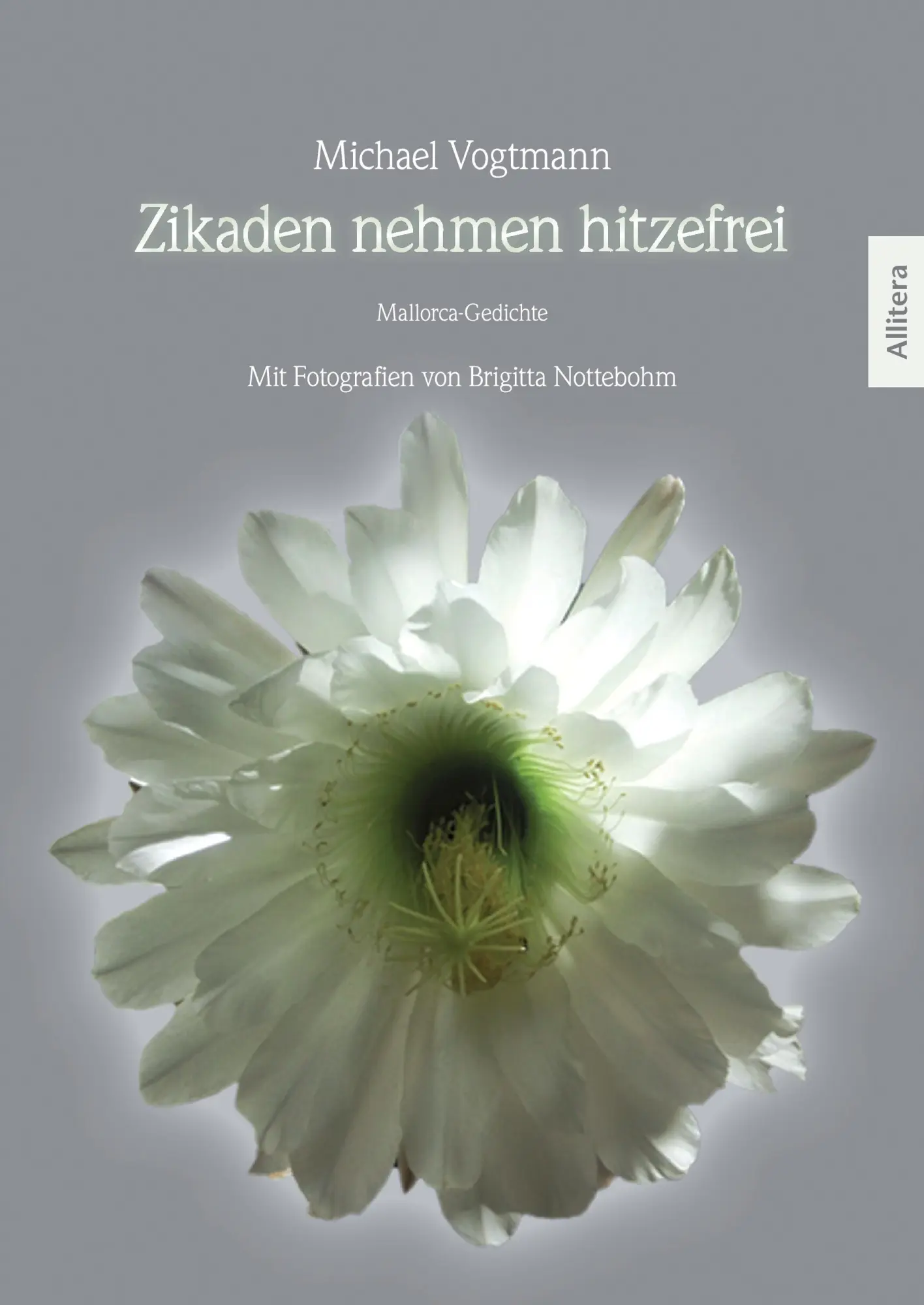 Cover: 9783869063713 | Zikaden nehmen hitzefrei | Michael Vogtmann | Buch | Deutsch | 2014