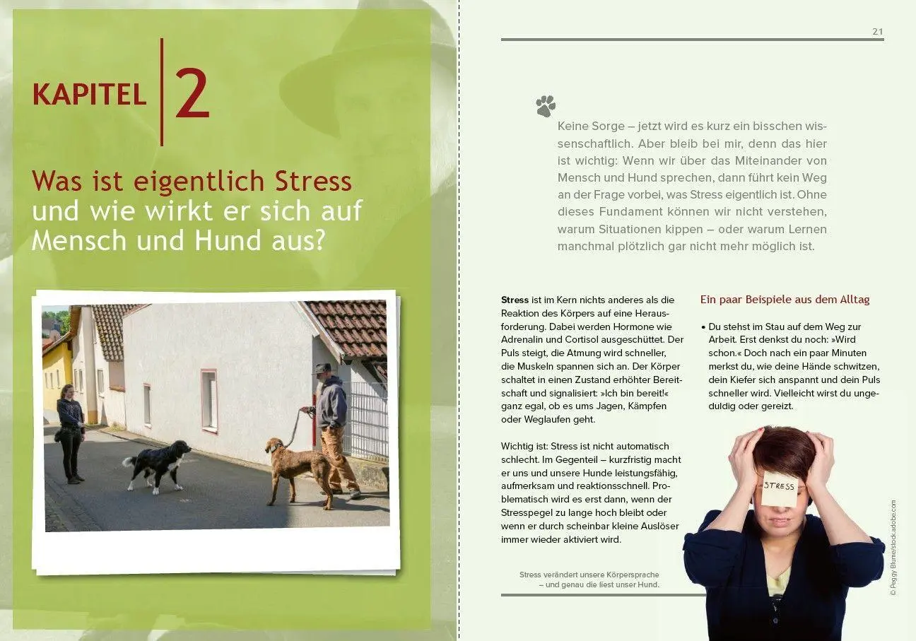 Bild: 9783275023813 | Hundeerziehung mit Holger Schüler Ohne Stress zu einer guten Beziehung