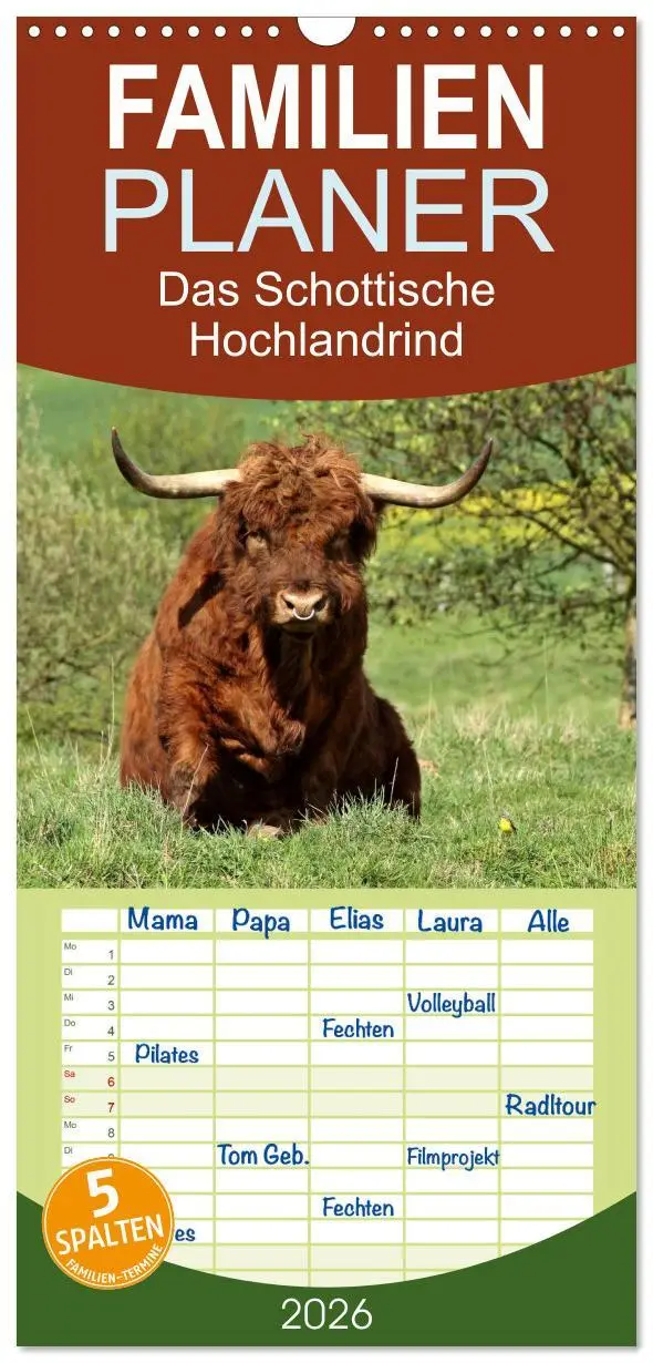Cover: 9783516513813 | Familienplaner 2026 - Das Schottische Hochlandrind mit 5 Spalten...