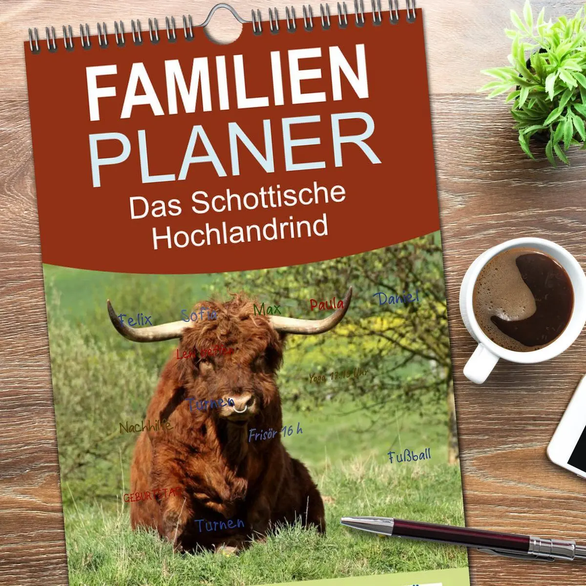Bild: 9783516513813 | Familienplaner 2026 - Das Schottische Hochlandrind mit 5 Spalten...