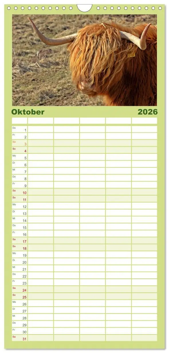 Bild: 9783516513813 | Familienplaner 2026 - Das Schottische Hochlandrind mit 5 Spalten...