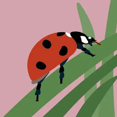 Bild: 7640139533913 | Bugs Buddy | Christoph Cantzler (u. a.) | Spiel | Fun by Nature | 2025
