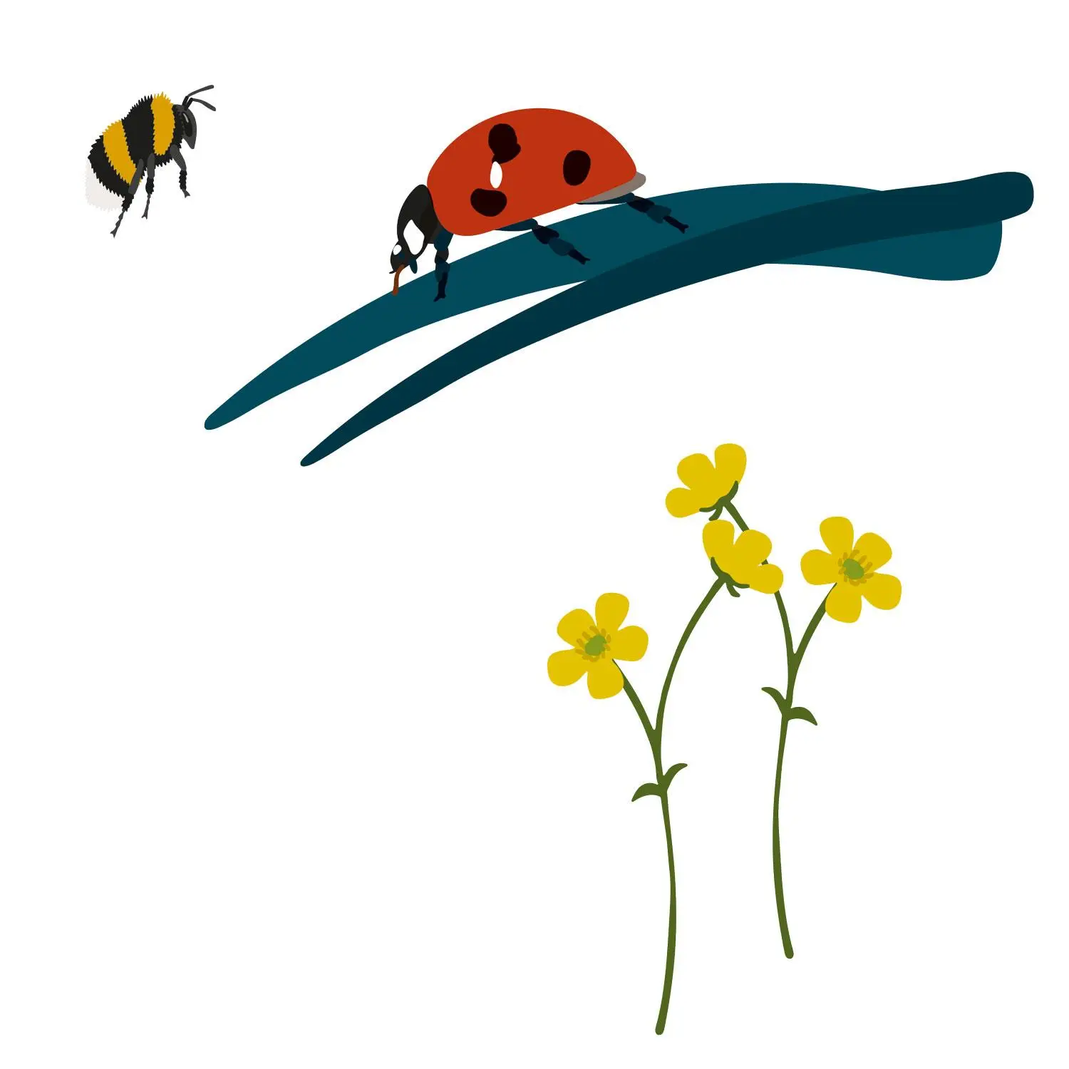 Bild: 7640139533913 | Bugs Buddy | Christoph Cantzler (u. a.) | Spiel | Fun by Nature | 2025