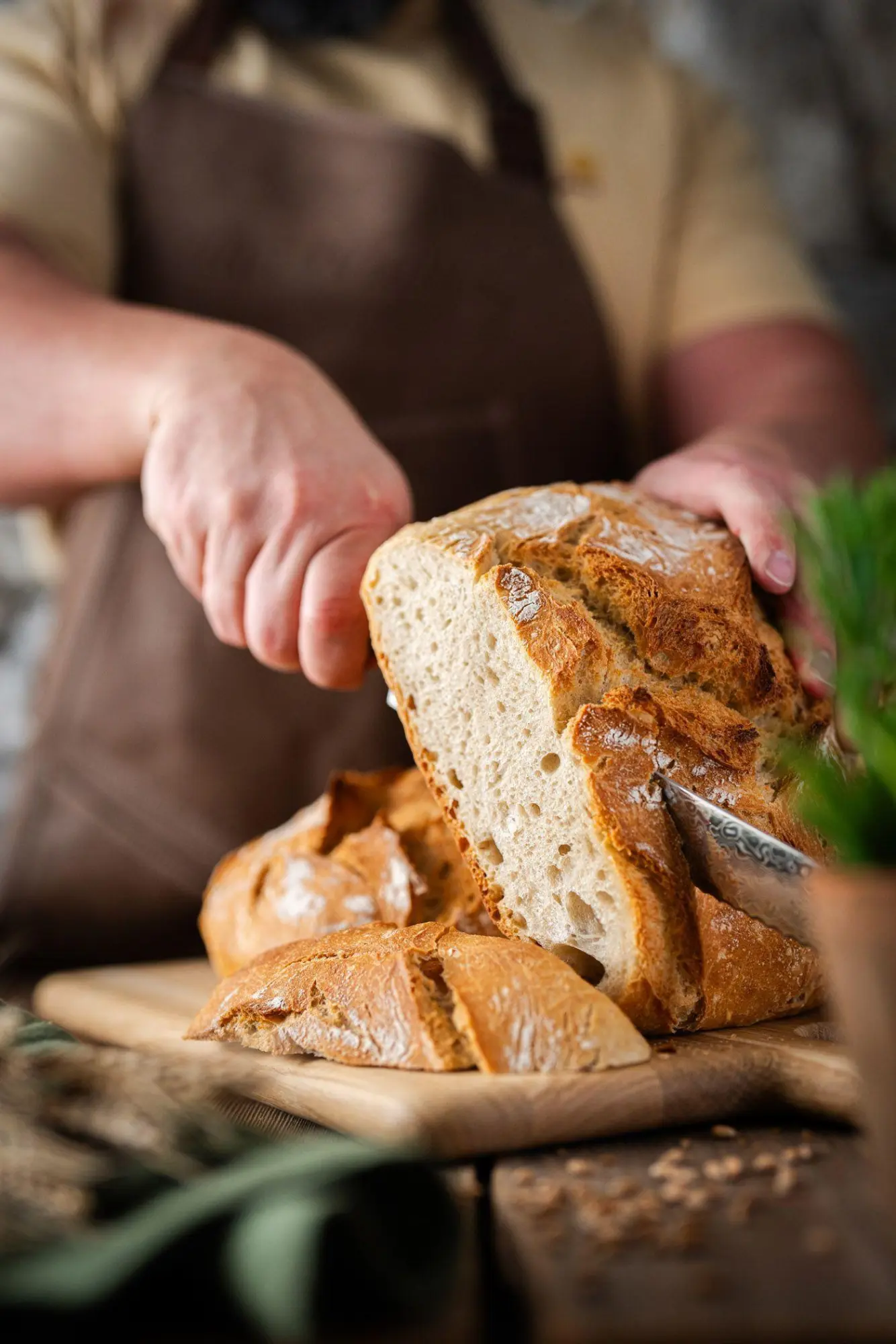 Bild: 9783702243913 | Brot für jeden Tag | Marian Moschen | Buch | 224 S. | Deutsch | 2026