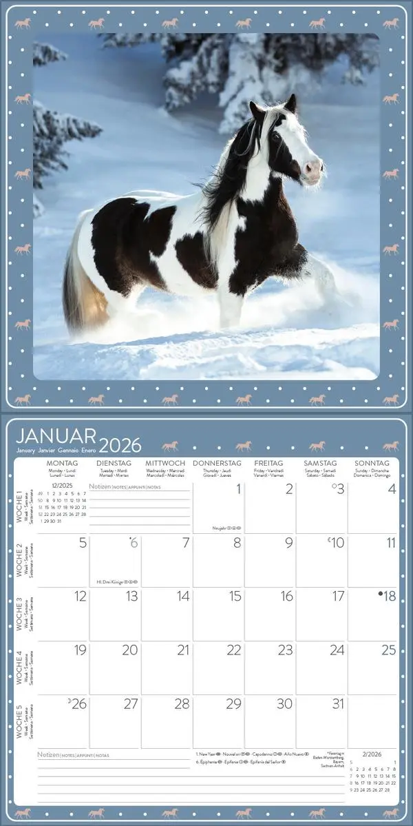 Bild: 9783731883913 | Pferdekalender 2026 | Verlag Korsch | Kalender | 13 S. | Deutsch