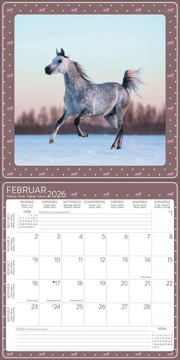 Bild: 9783731883913 | Pferdekalender 2026 | Verlag Korsch | Kalender | 13 S. | Deutsch