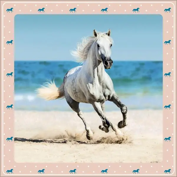 Bild: 9783731883913 | Pferdekalender 2026 | Verlag Korsch | Kalender | 13 S. | Deutsch