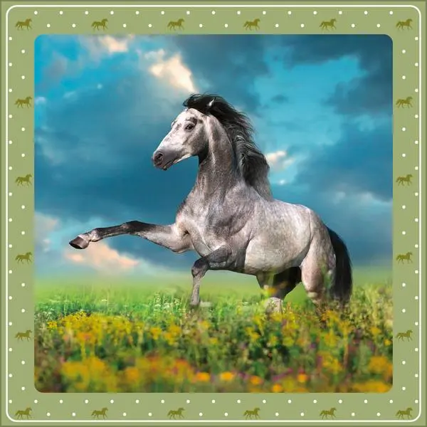 Bild: 9783731883913 | Pferdekalender 2026 | Verlag Korsch | Kalender | 13 S. | Deutsch