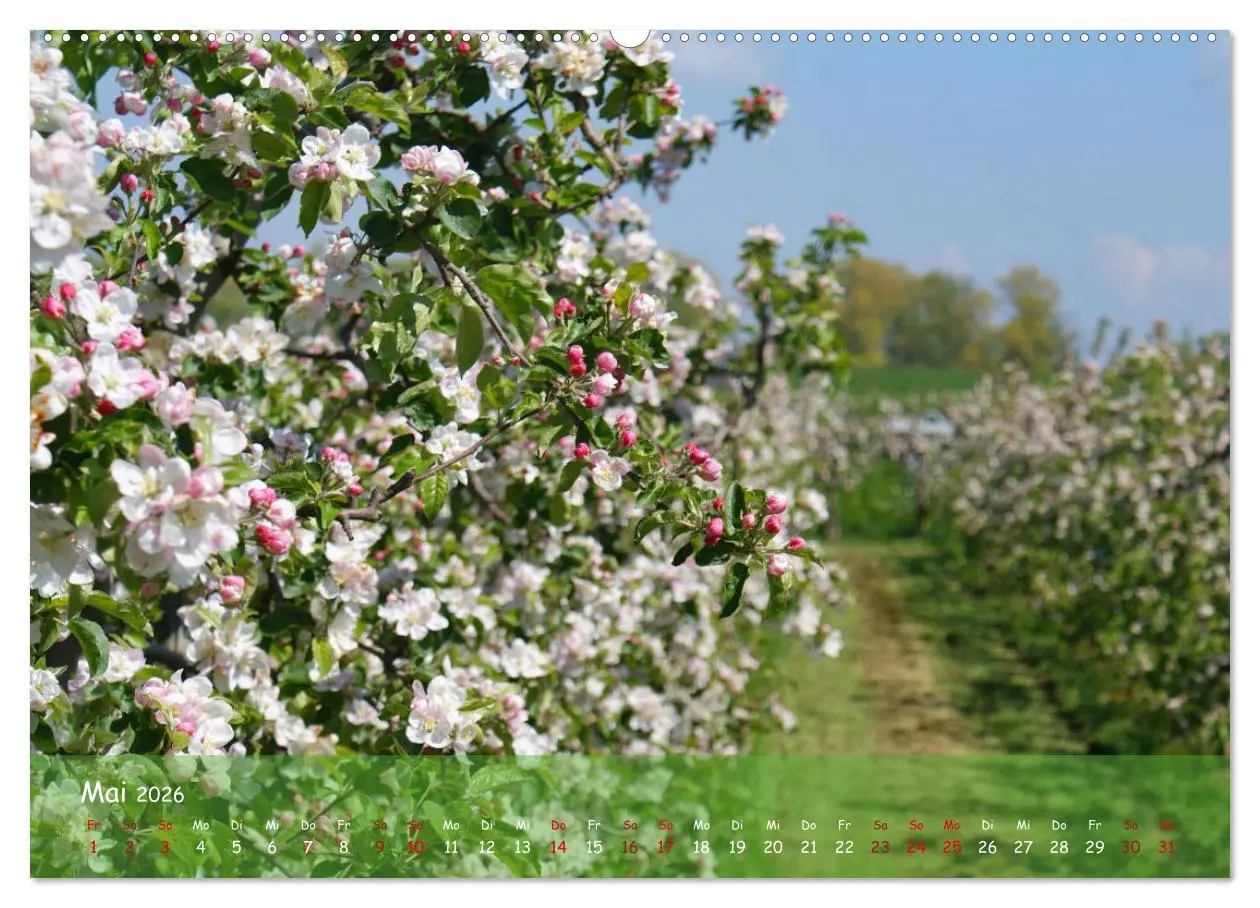 Bild: 9783457544013 | Altes Land im Wechsel der Jahreszeiten (Wandkalender 2026 DIN A2...