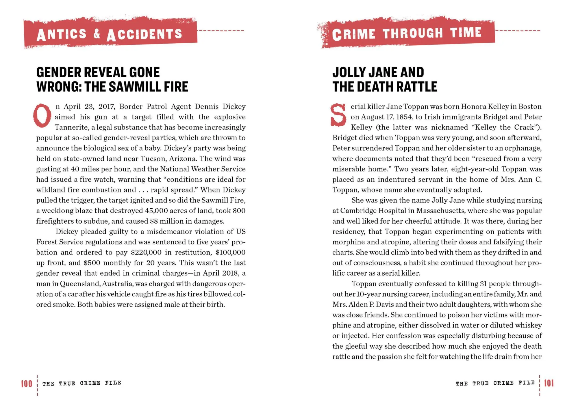 Bild: 9781523514113 | The True Crime File | Workman Publishing | Taschenbuch | Englisch