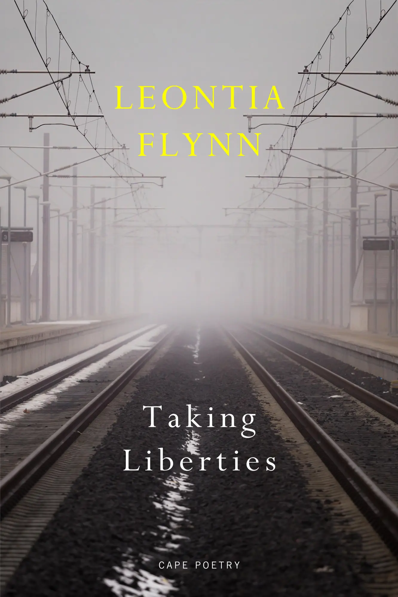 Cover: 9781787334113 | Taking Liberties | Leontia Flynn | Taschenbuch | Englisch | 2023