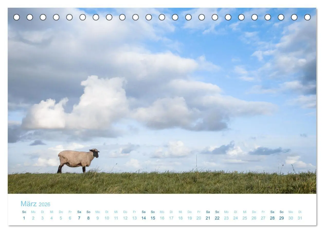 Bild: 9783457914113 | Mehr Nordsee (Tischkalender 2026 DIN A5 quer), CALVENDO Monatskalender