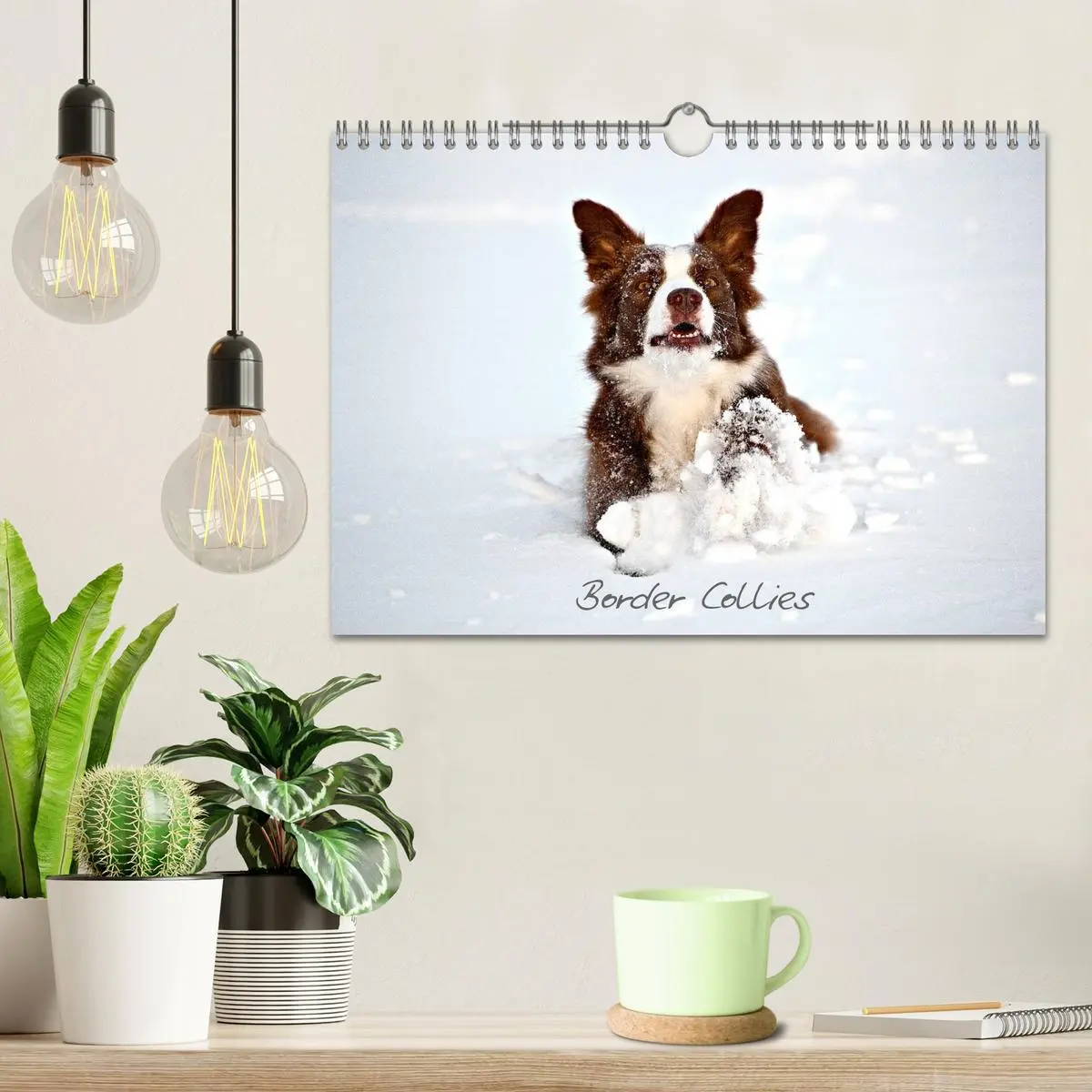 Bild: 9783516174113 | Border Collies (Wandkalender 2026 DIN A4 quer), CALVENDO...