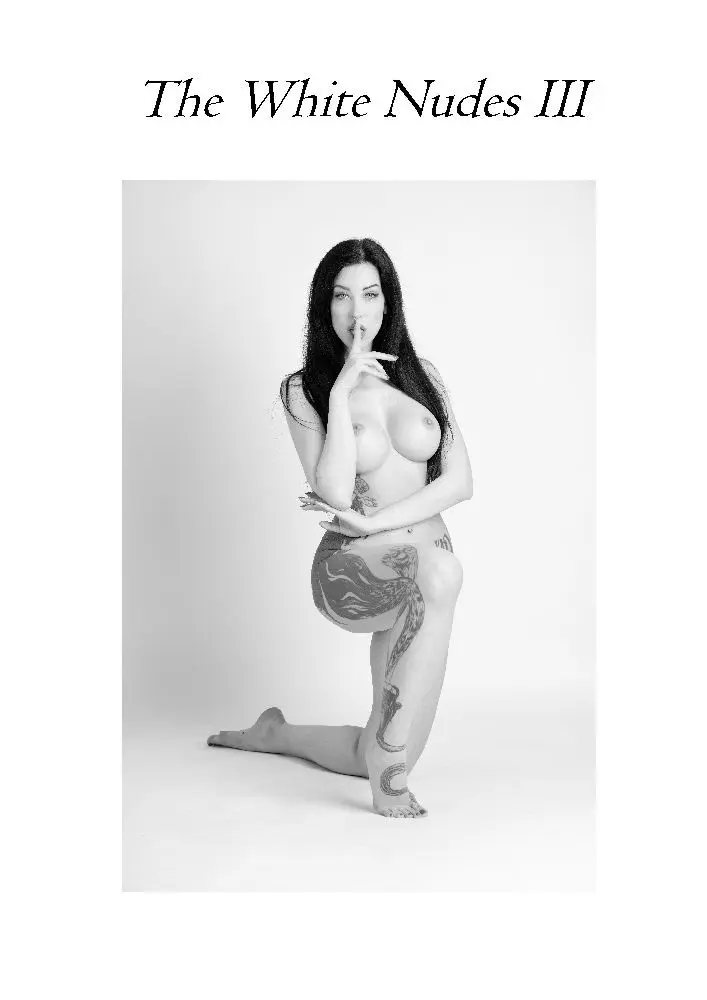 Cover: 9783347944213 | The White Nudes III | Der dritte Band der White Nudes | Fensterseifer