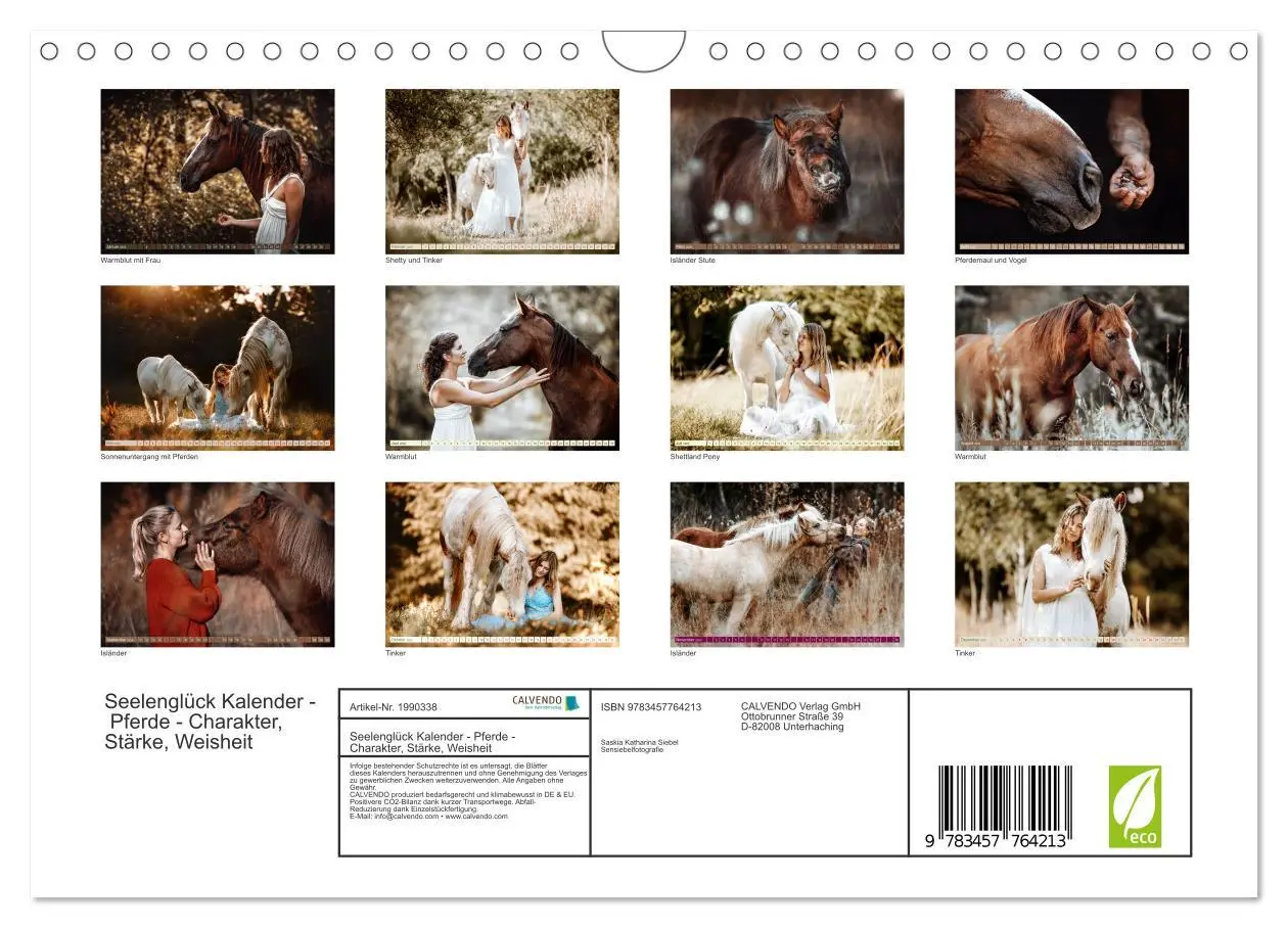 Bild: 9783457764213 | Seelenglück Kalender - Pferde - Charakter, Stärke, Weisheit...