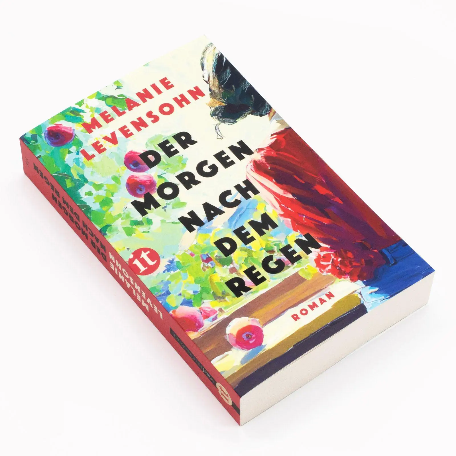 Bild: 9783458684213 | Der Morgen nach dem Regen | Melanie Levensohn | Taschenbuch | 431 S.