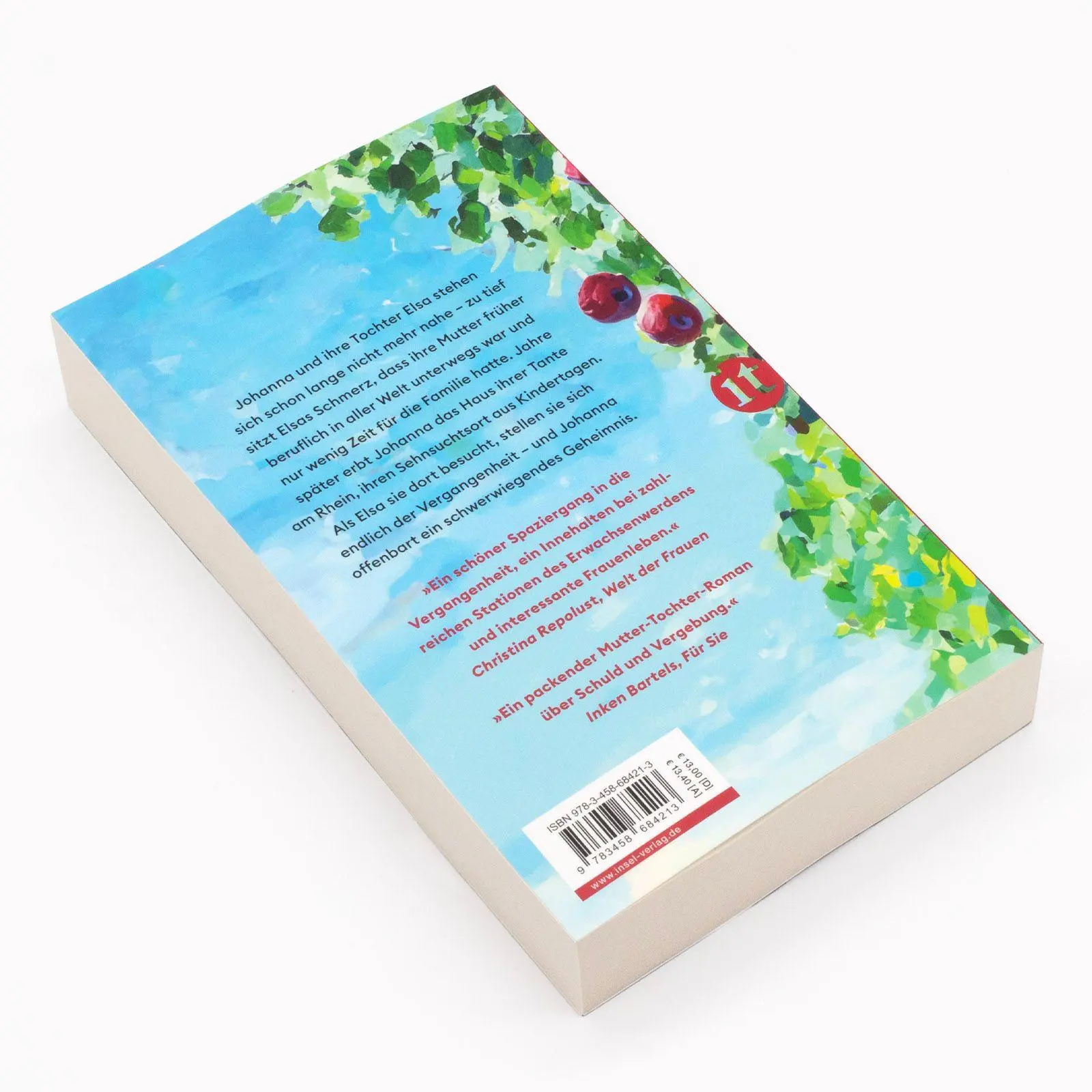 Bild: 9783458684213 | Der Morgen nach dem Regen | Melanie Levensohn | Taschenbuch | 431 S.