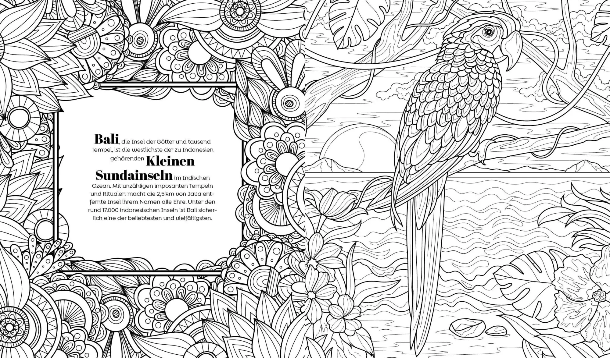 Bild: 9783745924213 | Ausmalparadies - Sehnsuchtsort Bali | Taschenbuch | 96 S. | Deutsch