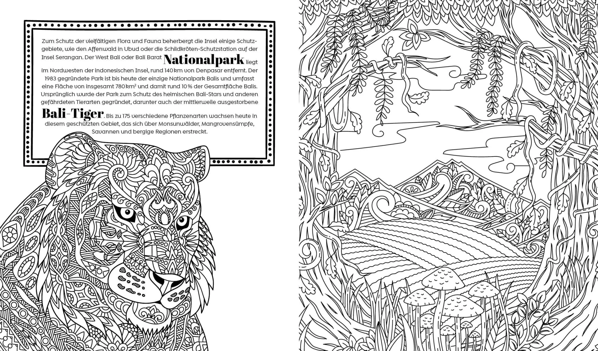 Bild: 9783745924213 | Ausmalparadies - Sehnsuchtsort Bali | Taschenbuch | 96 S. | Deutsch