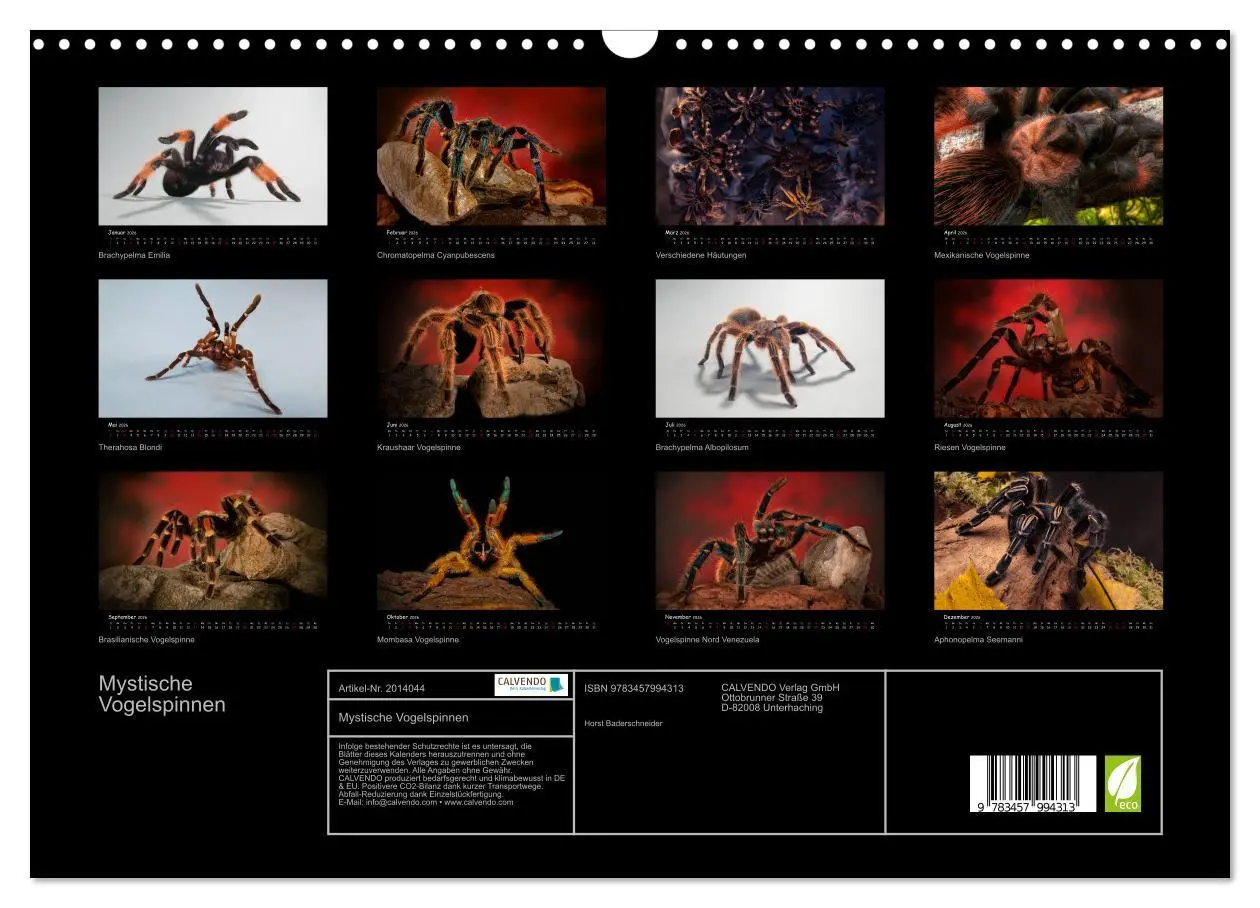 Bild: 9783457994313 | Mystische Vogelspinnen (Wandkalender 2026 DIN A3 quer), CALVENDO...